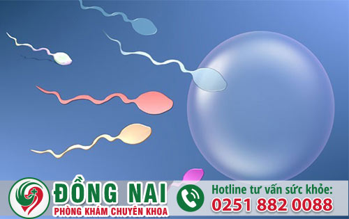 Vì Sao nam Giới Cần Xét Nghiệm Tinh Dịch Đồ?