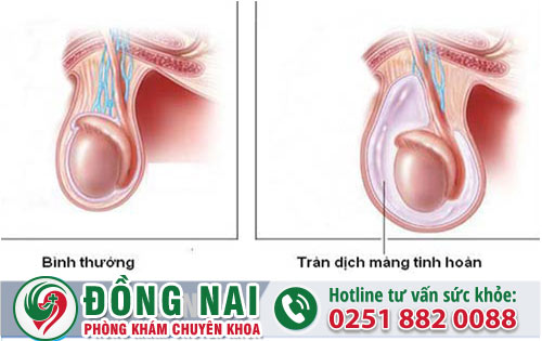 da khoa hong phuc