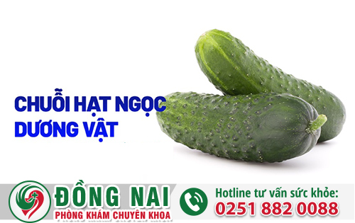 Chuỗi Hạt Ngọc Dương Vật