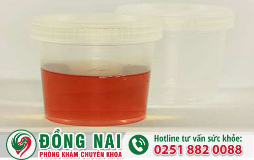 da khoa hong phuc