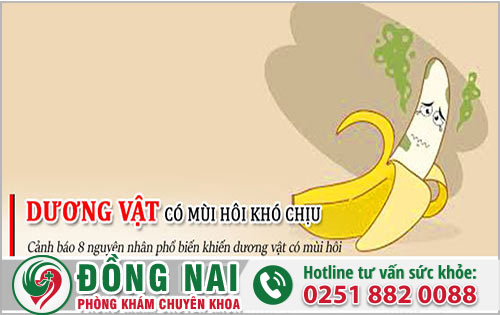 da khoa hong phuc