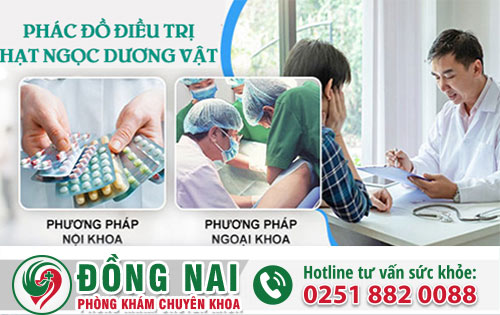 Cách Chữa Hạt Ngọc Dương Vật