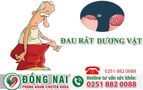 da khoa hong phuc