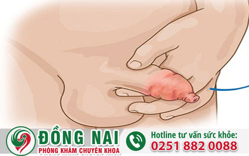 da khoa hong phuc