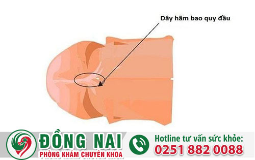 da khoa hong phuc