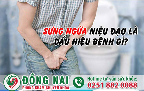 da khoa hong phuc
