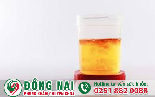 da khoa hong phuc