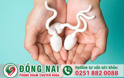 da khoa hong phuc