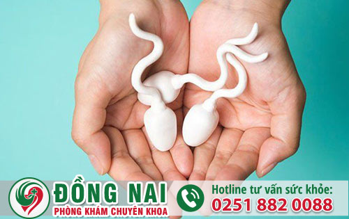 da khoa hong phuc