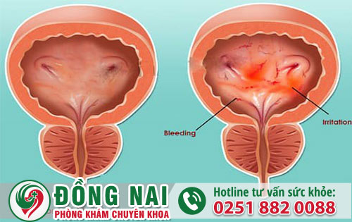 da khoa hong phuc