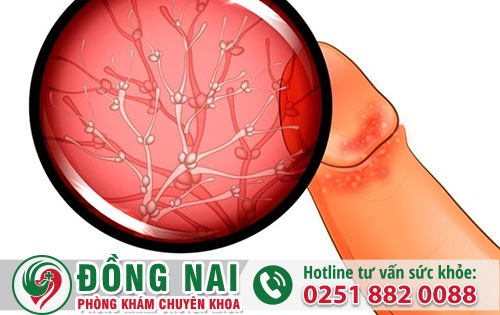 da khoa hong phuc