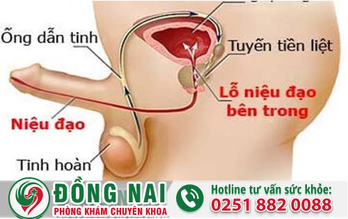 da khoa hong phuc