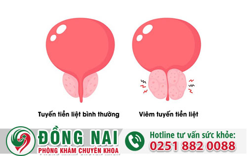 da khoa hong phuc