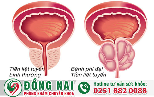 da khoa hong phuc