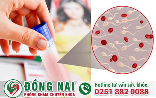 da khoa hong phuc